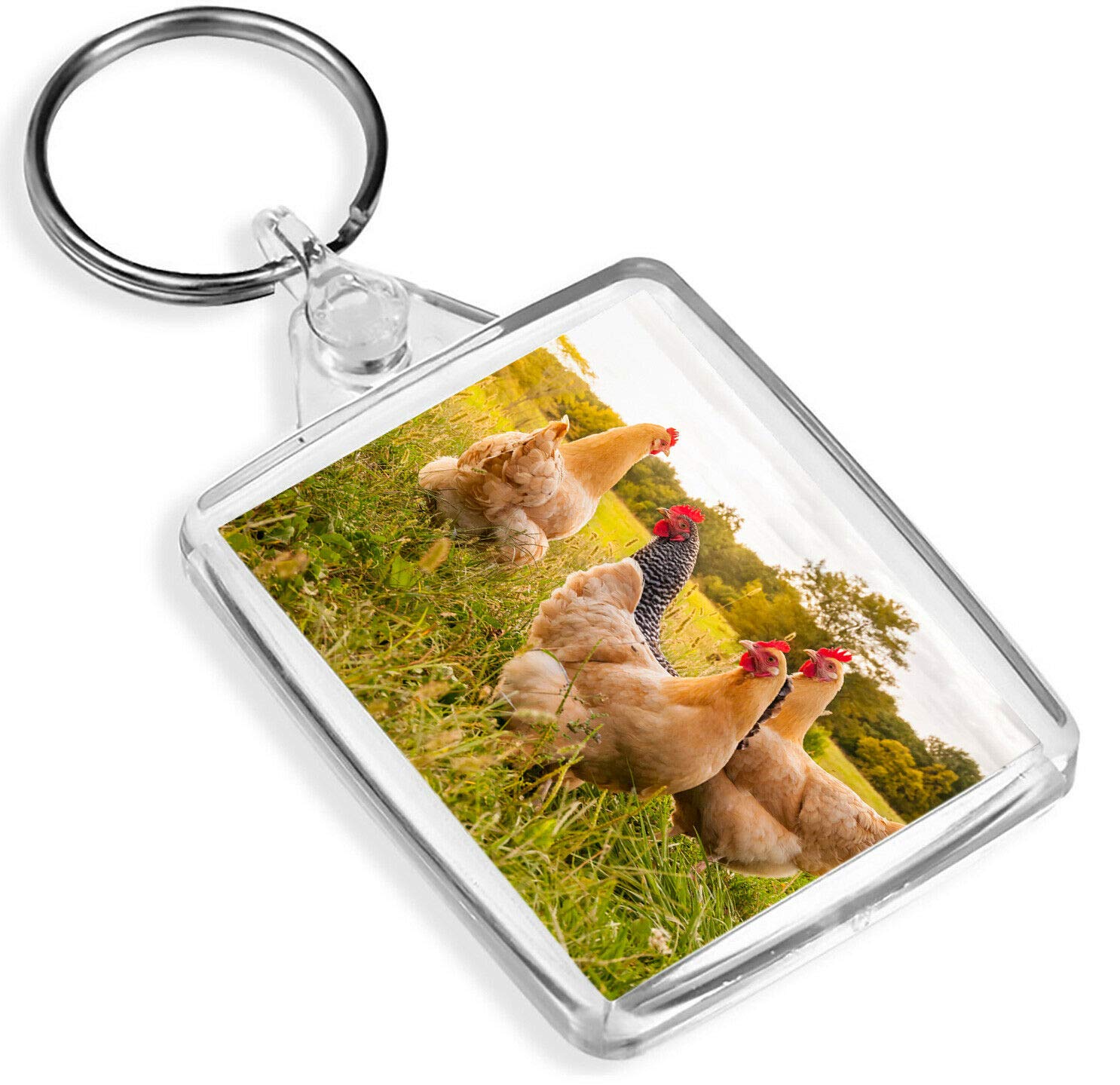 Destination Vinyl Keyrings Wild Chickens Animal Farm Keyring - IP02 - Nature Outdoor #16908