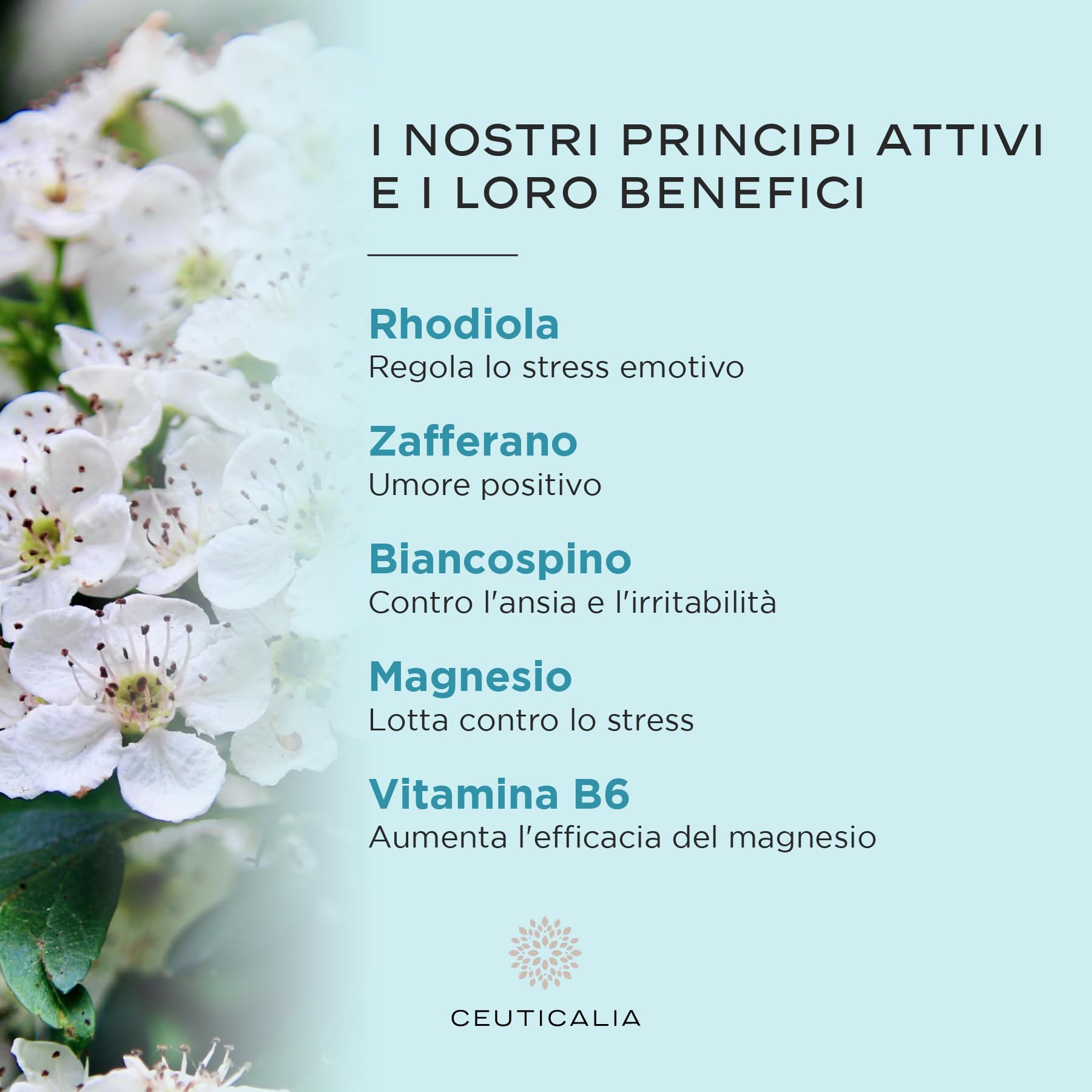 Integratore Alimentare per lo Stress, l´Ansia e l'Umore - Antistress, Benessere e Rilassamento - Per Adulti - Magnesio, Vitamina B6, Zafferano, Rodiola, Biancospino - 180 Capsule, 90 Giorni