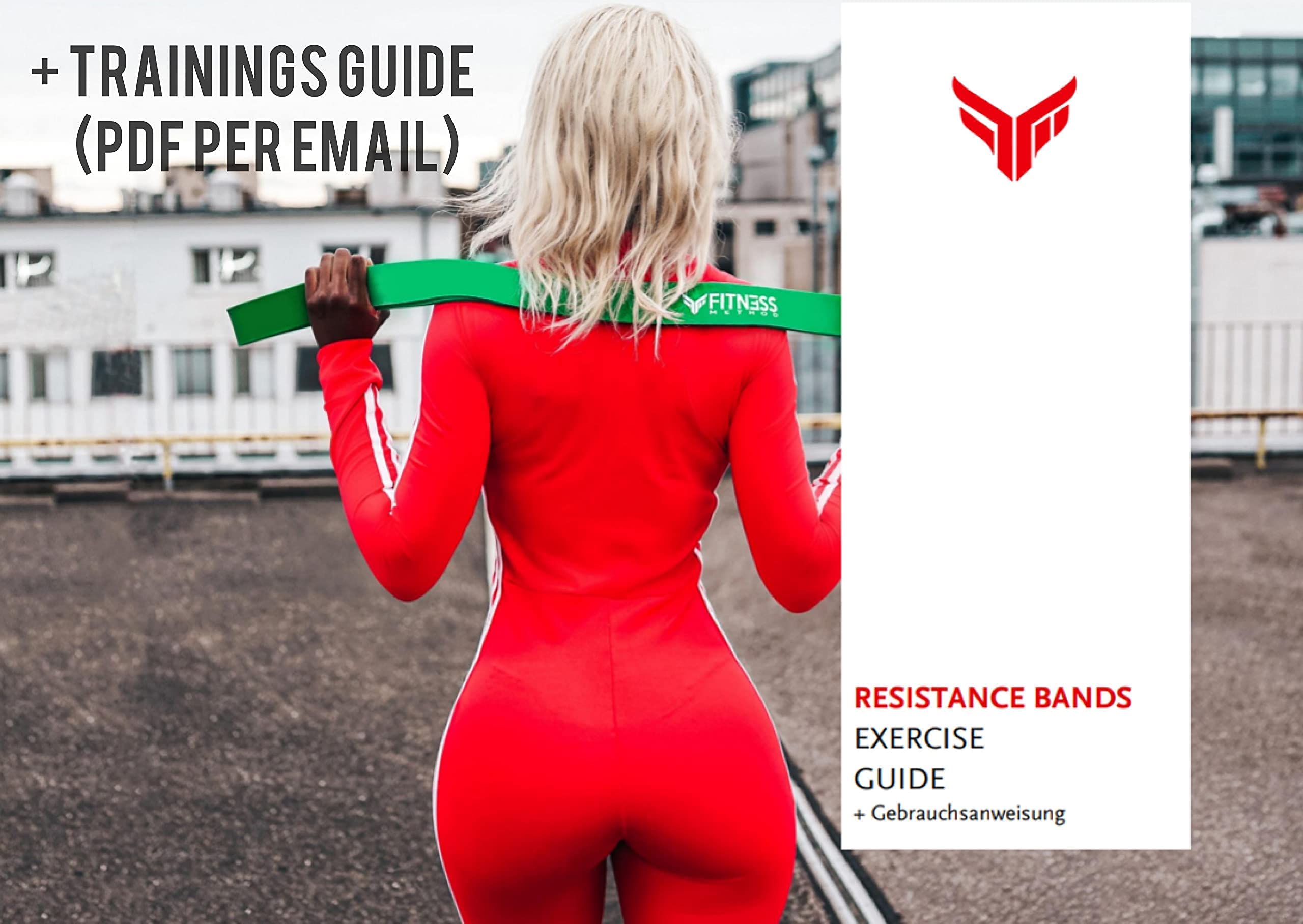 Resistance Bands – Set di fasce di resistenza innovative/singolarmente con custodia + istruzioni per l'allenamento della forza e fascia per la palestra domestica