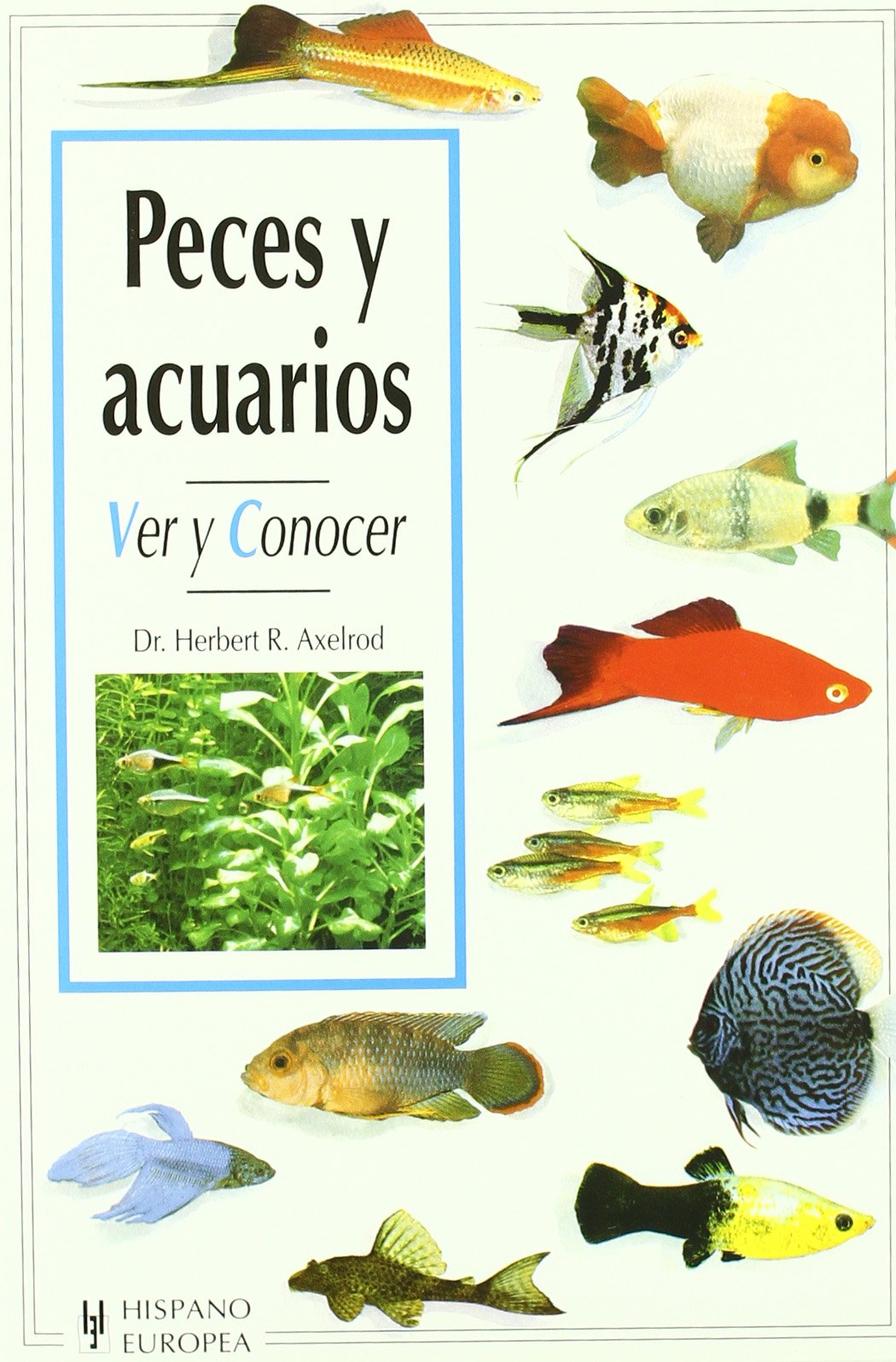 Peces y acuarios/A Basic Book of Aquariums: Ver Y Conocer