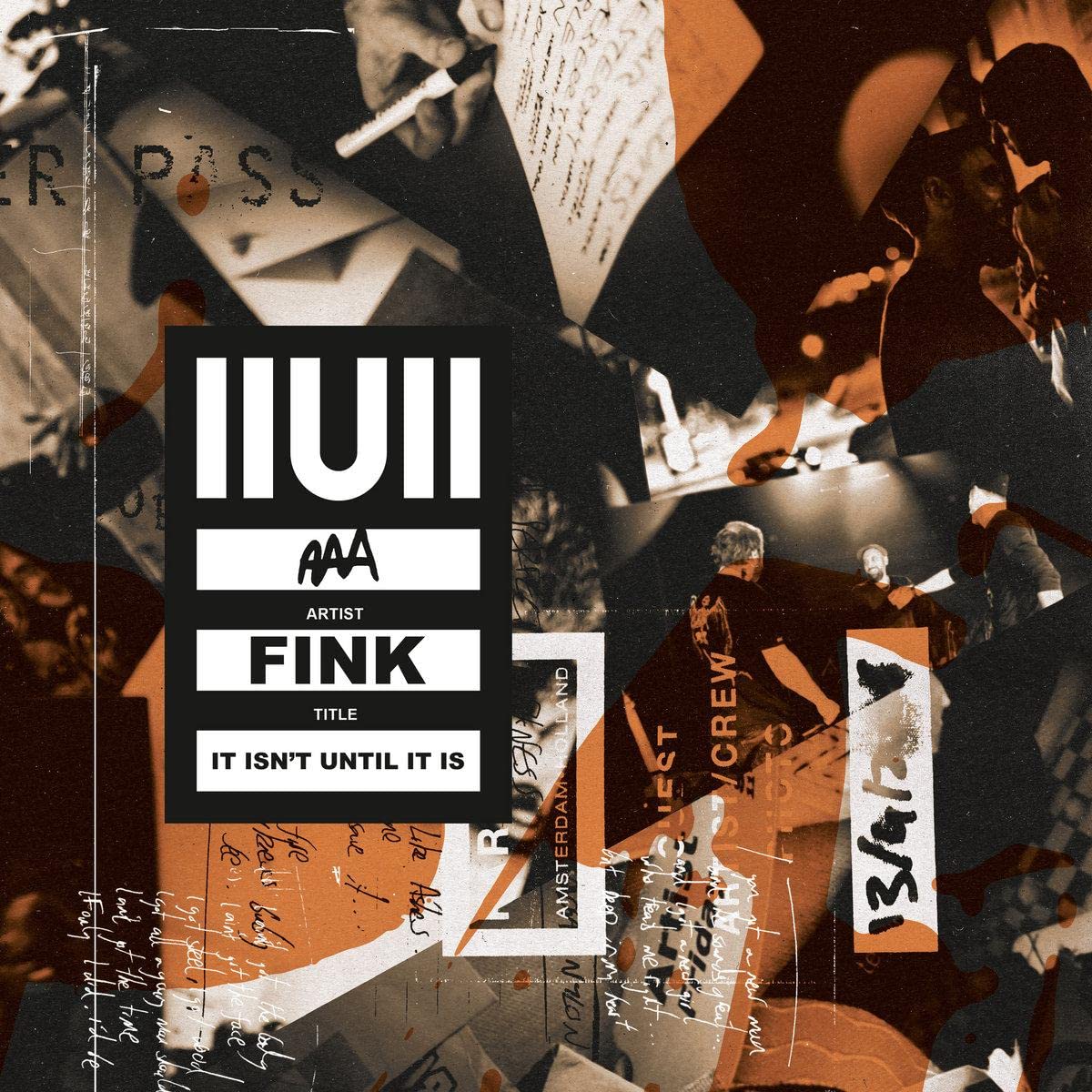 FINK - IIUII - 2 X VINYL RECORD LP + BOOK - NEW