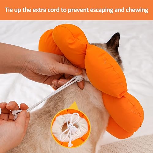 Miniatura 4 de Avont Collar de cono para gato, suave, ajustable, alternativa al collar E para gatos, gatitos, cachorros, cono isabelino de la vergüenza para evitar