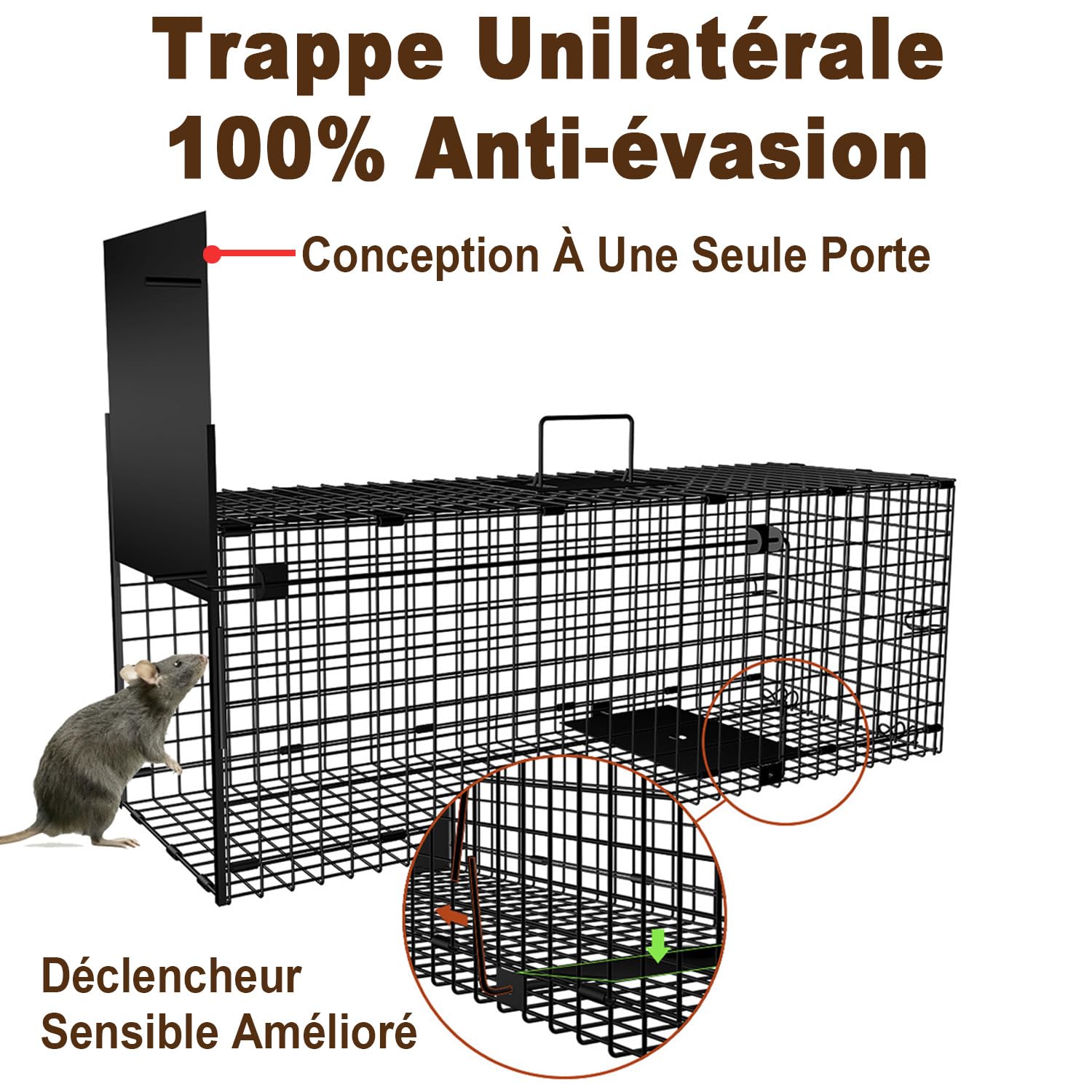 Amagabeli Piège animalier vivant 78x26x29cm pour chat, renard, rat