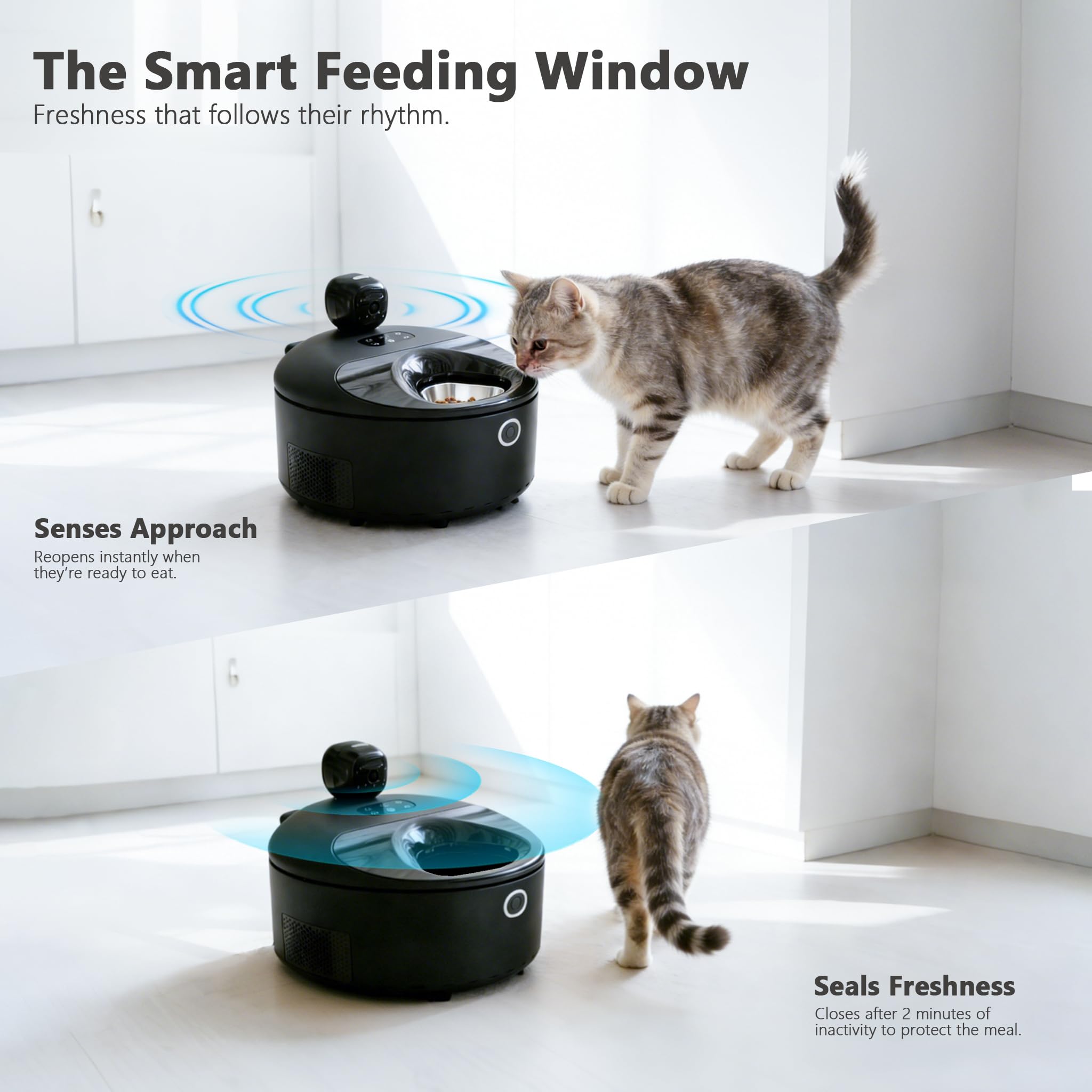Cayboxy - Comedero automático para gatos con control de alimentos húmedos, dos en uno, refrigerado automático para gatos con refrigeración semiconductora, 5 comidas frescas, controlado por aplicación
