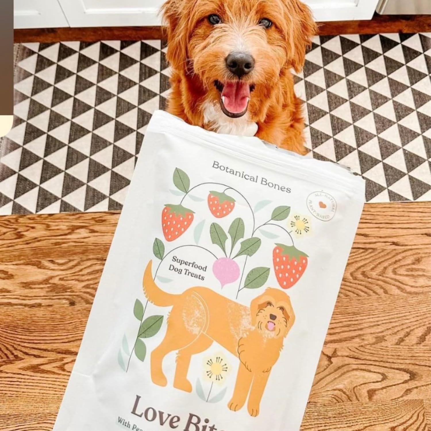 Love Bites Healthy Natural Dog Treats, Oven Baked Dog Cookies with Peanut Butter, Strawberry & Beet, Grain Free Limited Ingredient Snacks for Dogs, 2 Pack