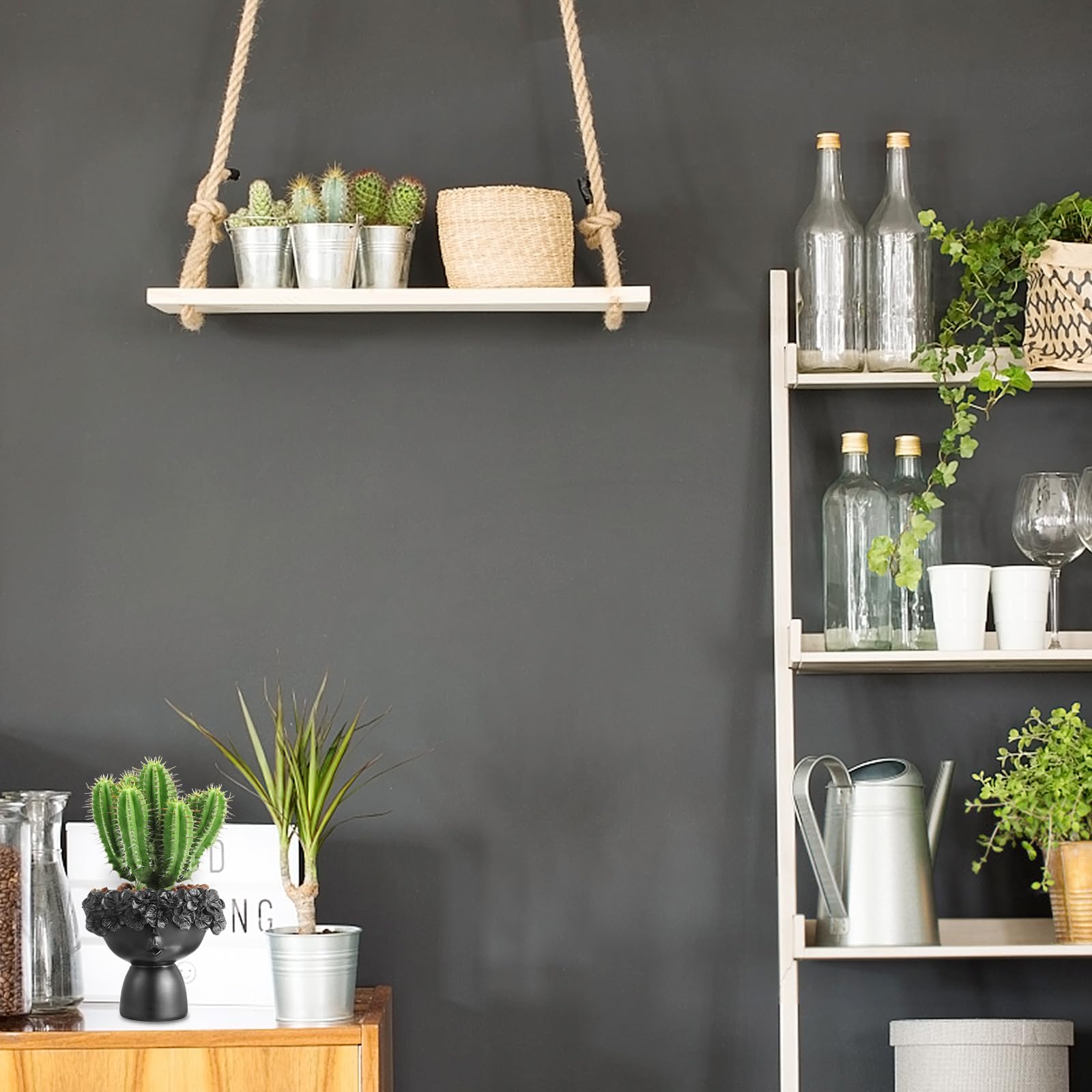 ifundom per in a Forma per Piante Decorazione e e per Composizioni Floreali