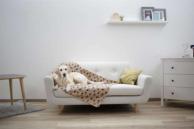 Foto 4 de 4 de Kerbl Pet Manta para Perros Stella, Frazada, Beige, con Estampado de Huellas, 140x100 cm, Perros, Gatos