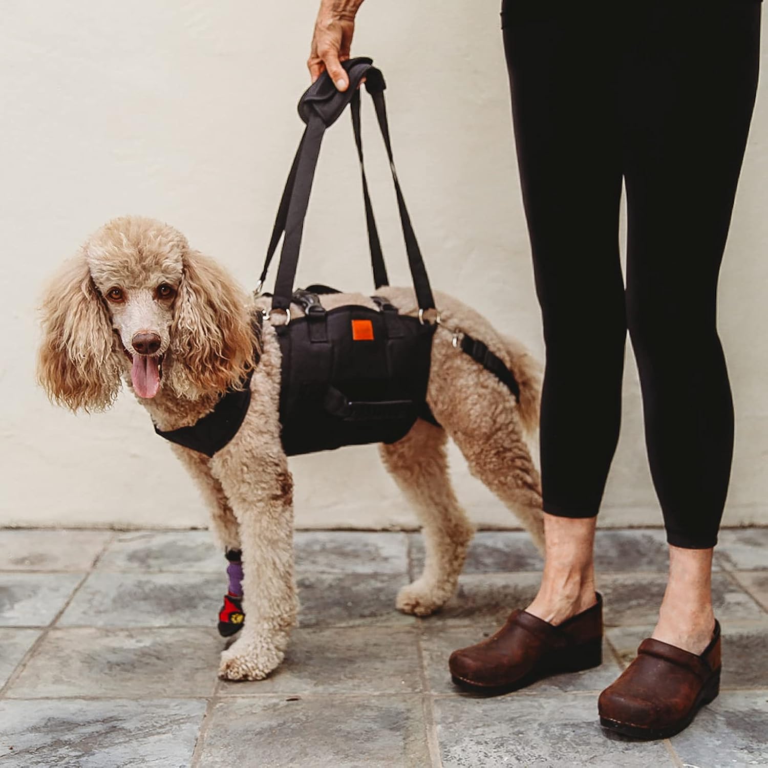 Emergency Dog Sling For Back Legs, Dog Support Lifting Harness For Medium Large Dogs With