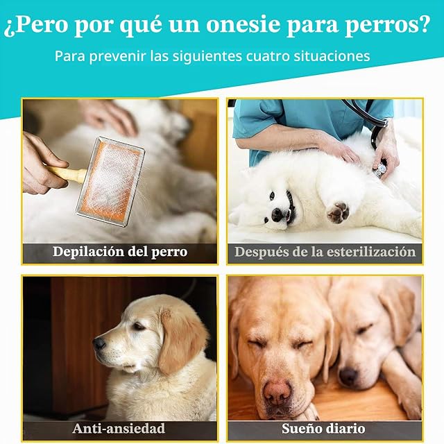 Foto 7 de 7 de Traje de rehabilitación para Perros postoperatorios, Suave, de Manga Larga, alternativas cónicas, antifugas