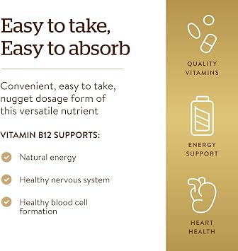 Solgar Vitamin B-12 1000 mcg 1 Paket(1 x 1 Stück)