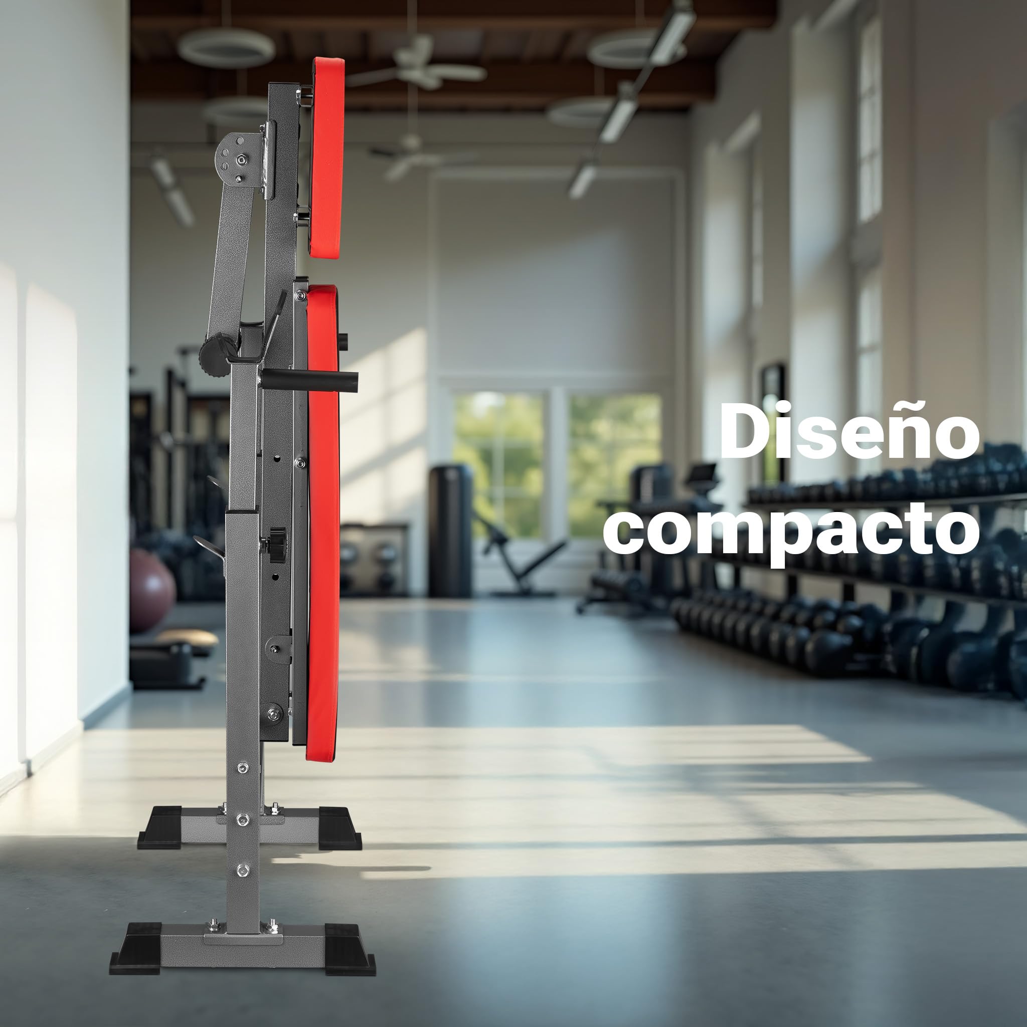 Wiltec banco de ejercicios