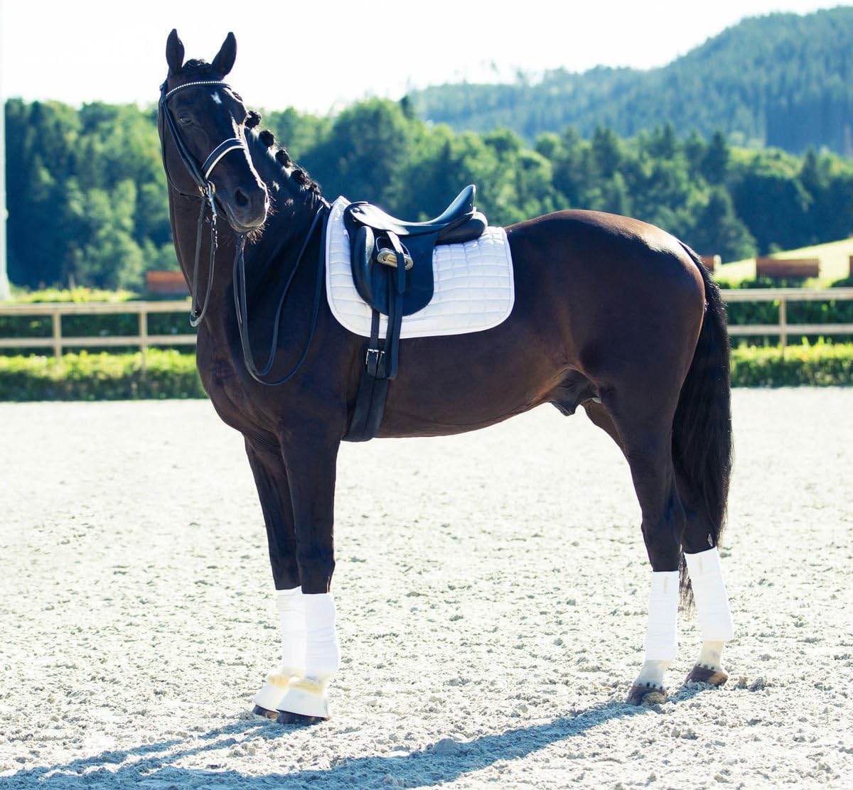 HORZE All Purpose Casual Comfort Quilted Cotton Padded English Saddle Pad Stirrup Leather Fasteners Girth Strap (White)