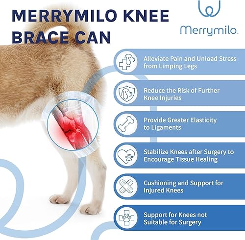 Miniatura 2 de Rodillera para perro para pierna trasera desgarrada del ACL, soporte para pierna trasera de perro, alivia el dolor en las articulaciones, soporte