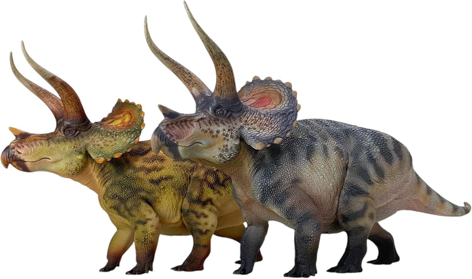 New Triceratops 1：35 Science and Art Model (Hu Yan Zhui)