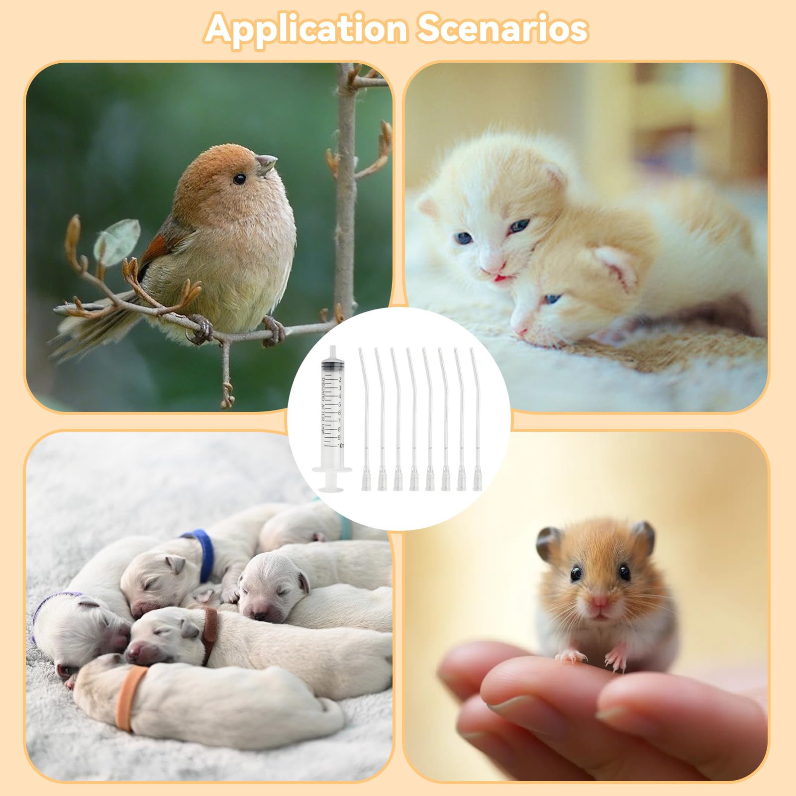 12 Pièces Sondes d'alimentation pour Oisillons, Seringue d'alimentation, Seringue Bébé Oiseau avec 2 Seringues de 10 ML, pour Perroquets, et Petits Animaux pour Jeunes Oiseaux