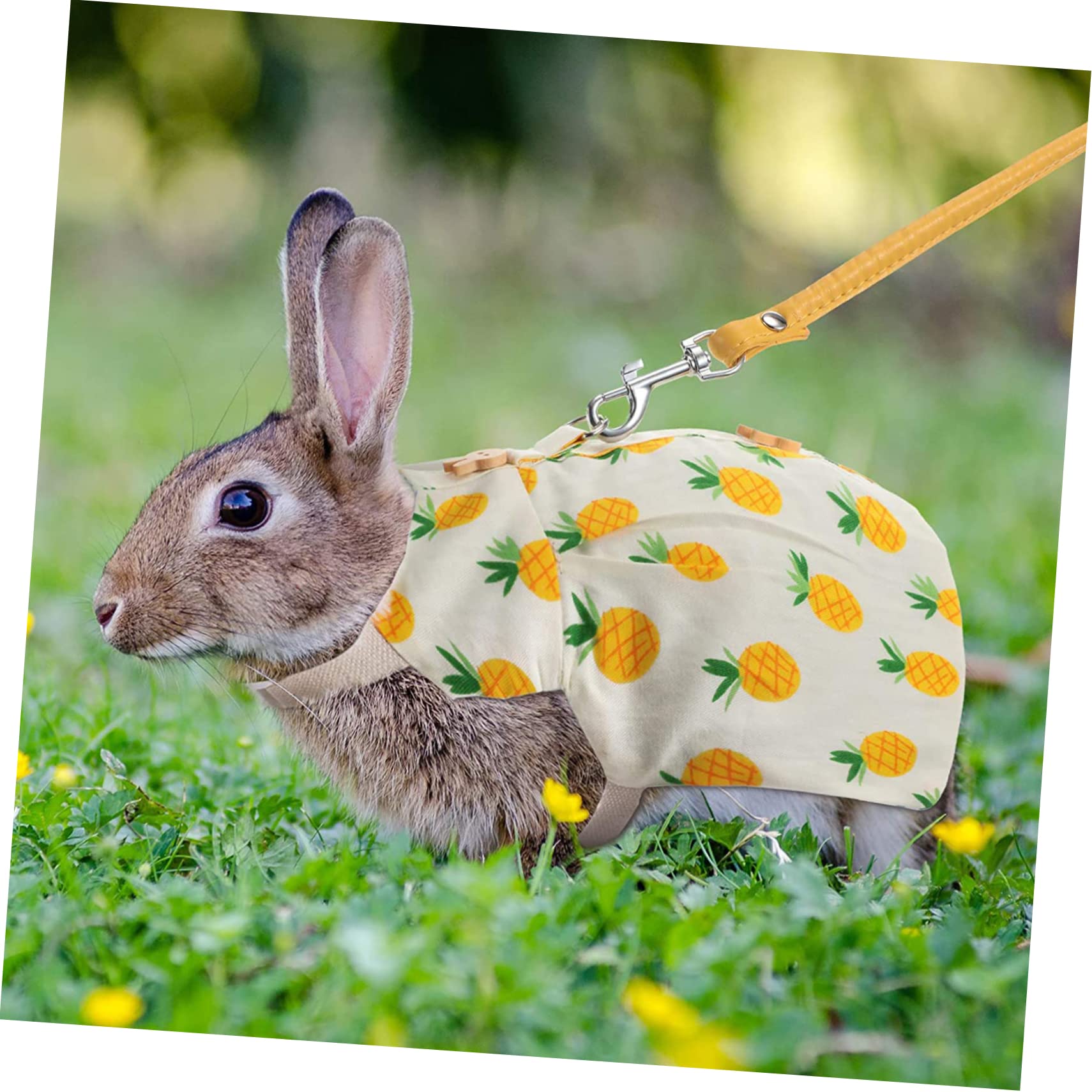 Kaninchen Geschirrset mit Leine, 2 Satz, Baumwolle für Kleine Haustiere