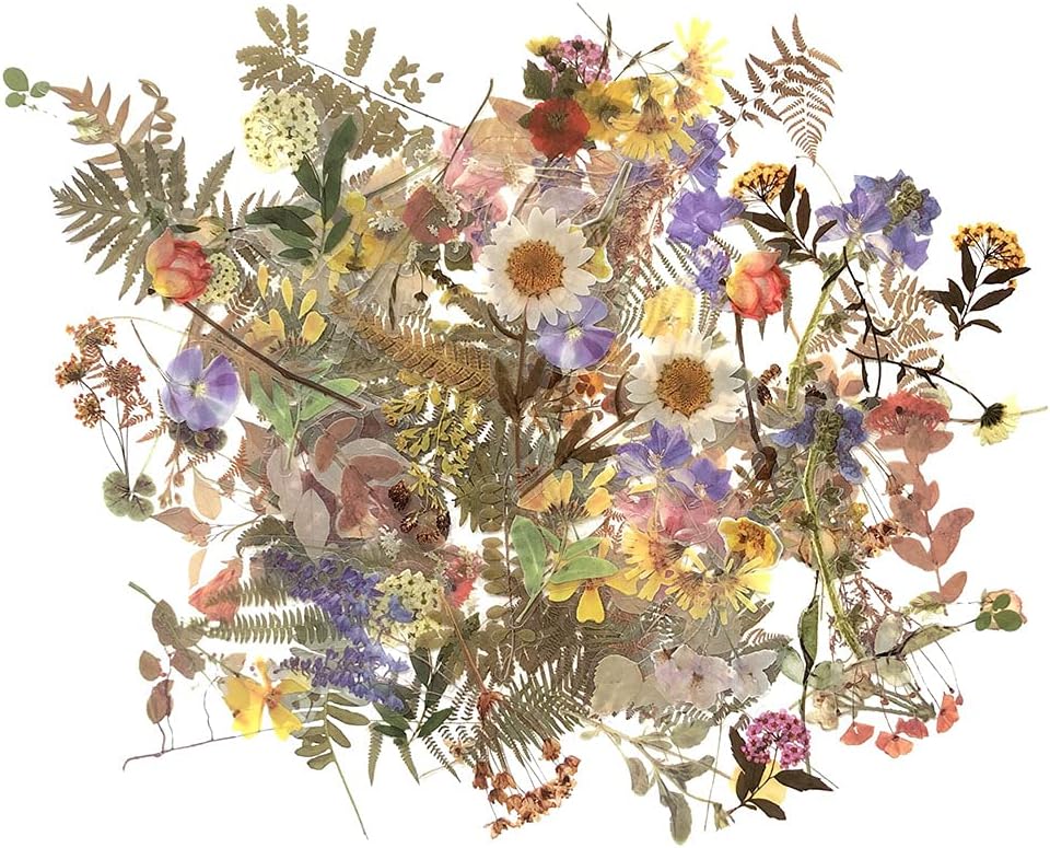 Flower Plant Stickers Set (120PCS) - PET Transparent Decorative Sticker for Scrapbooking Planner Journaling Wrapping DIY Crafts Cards Album Water Bottles Phone Cases Laptops