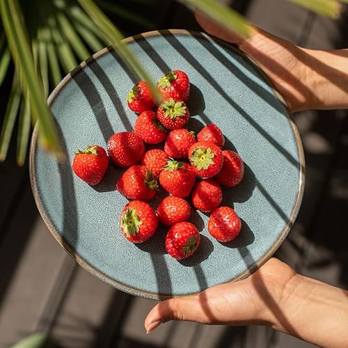 Miniatura 4 de Por Villeroy and Boch - Lave Glacé - Plato de desayuno de 9.25 pulgadas, elegante plato plano hecho de gres para brunches, lavavajillas y microondas