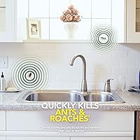 Vista 5 de Raid Ant and Roach, aerosol con aceites esenciales (1)