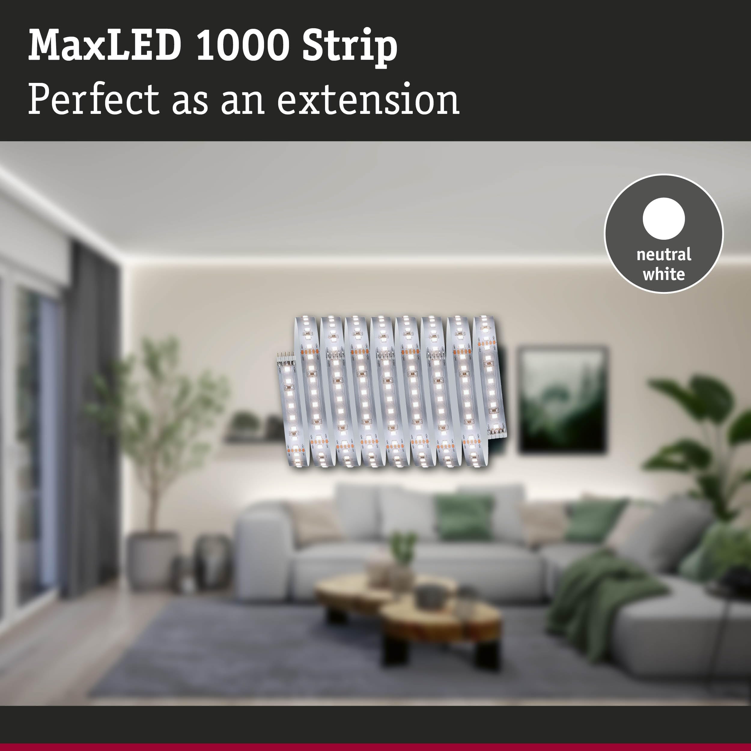 Paulmann 71249 MaxLED 1000 LED Strip Neutral White Individual Strip 2,5m 18W 1100lm/m 128 LEDs/m 4000K, Silver - Image 3