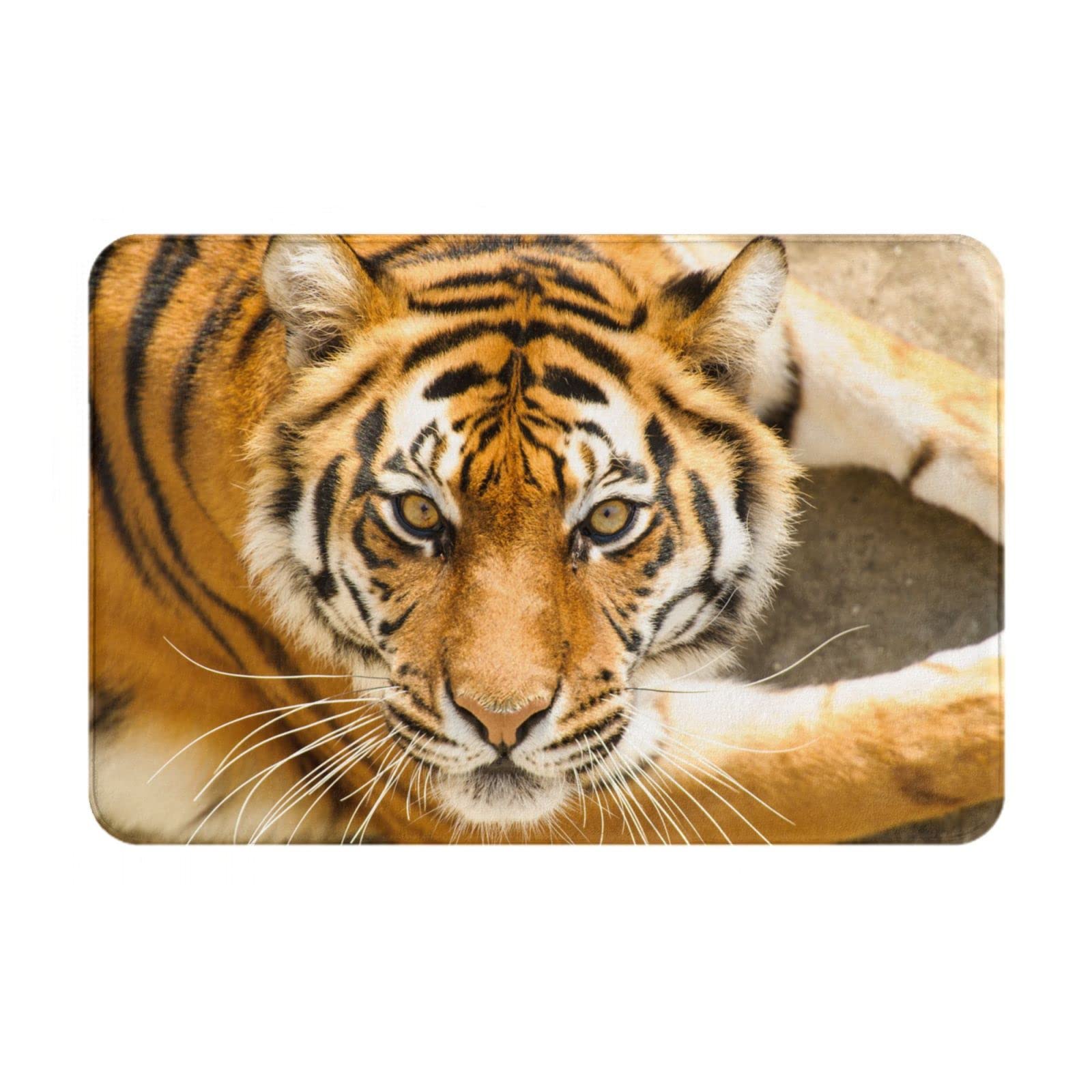 Amazon | 虎 トラ 動物 (1) 玄関マット 可愛い 屋外 室内 滑り