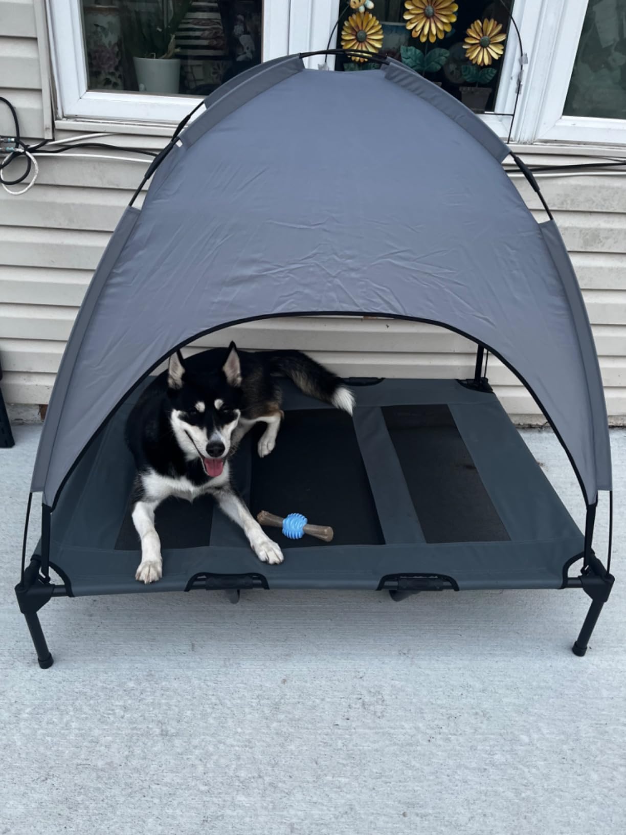 PupHut Outdoor Raised Dog Bed – XL Size Lounger with Shade Canopy
