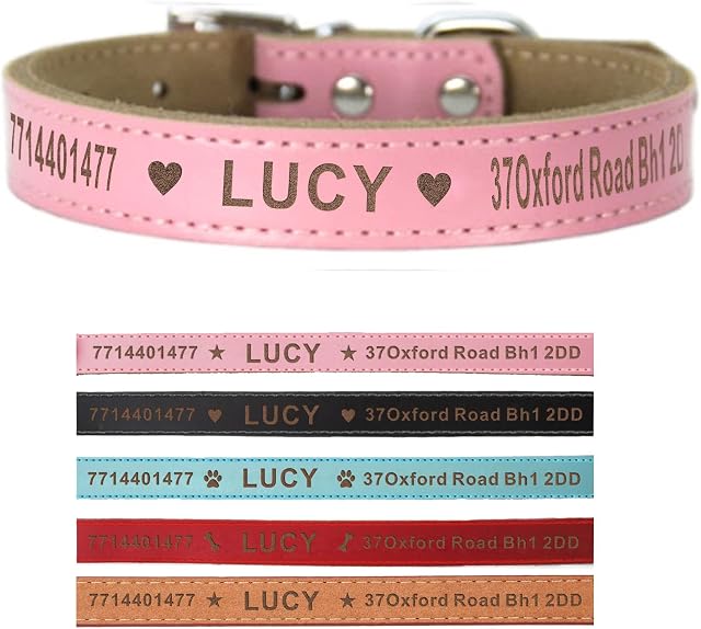 Leather Dog Collars Personalised Dog Collar Custom Collars for Pets Cat Puppy Dogs Blue Black Pink Red and 4 Sizes XS S M L (Pink XS)