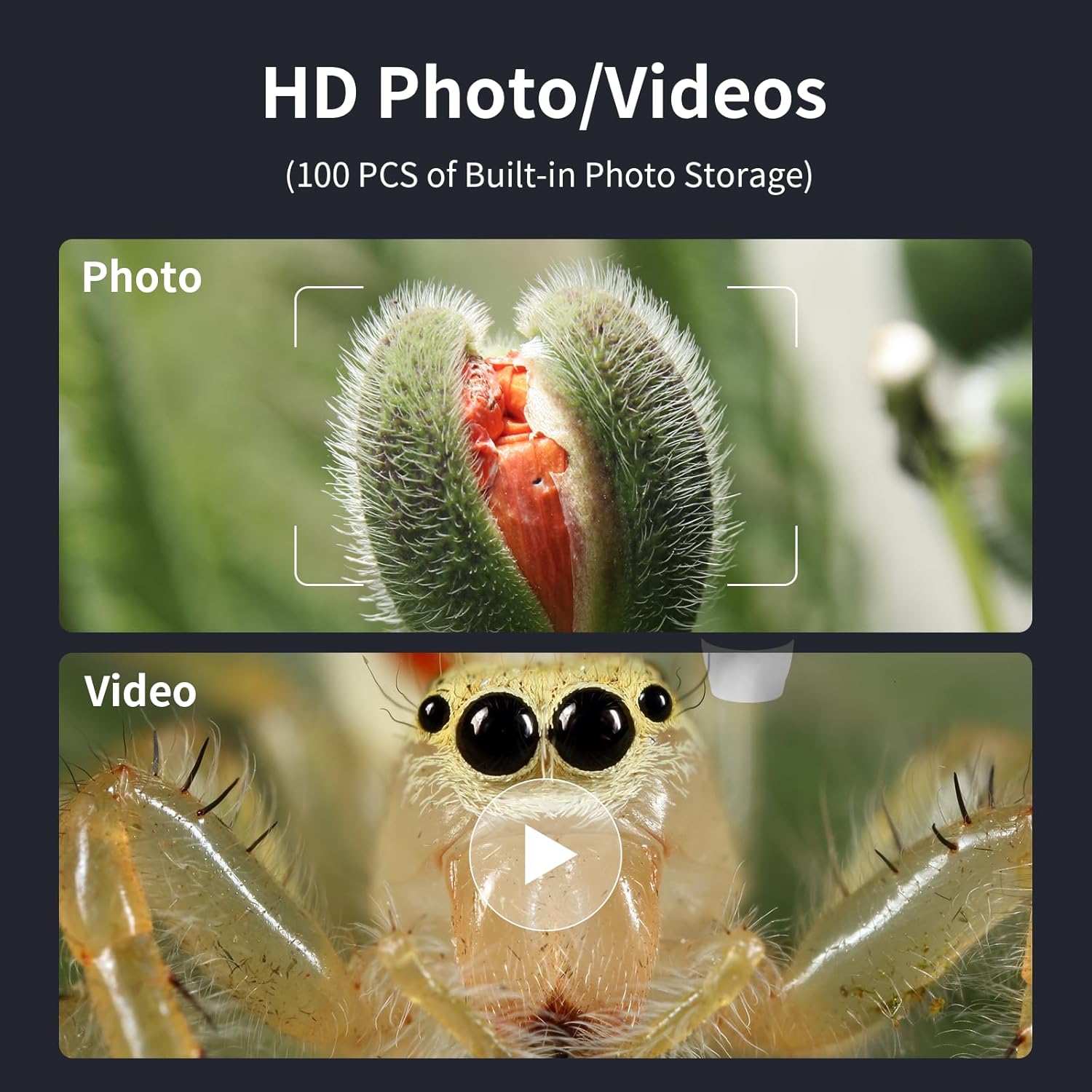 Microscope screen showing options for photo and video capture, with examples of a plant bud and a spider