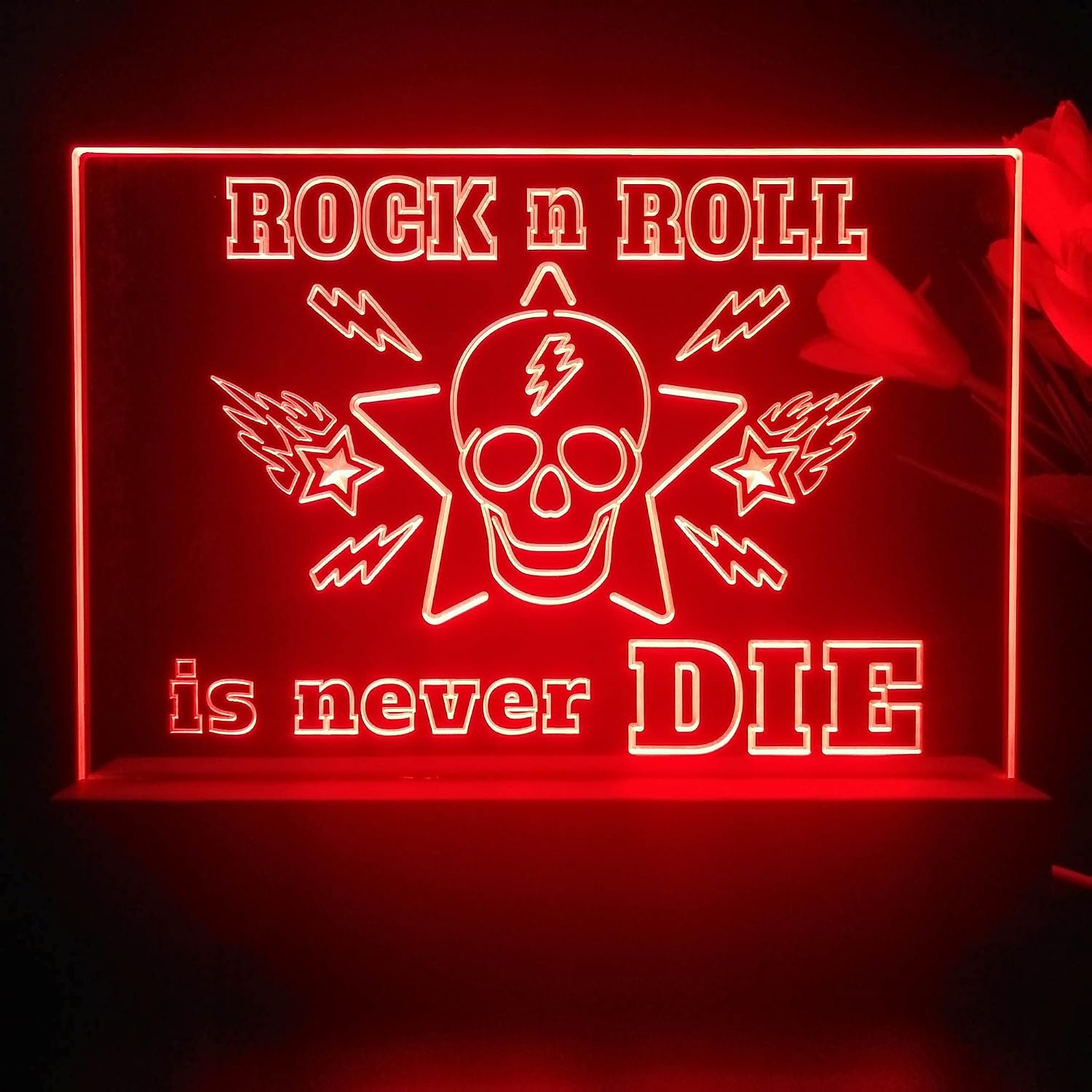 ADVPRO Rock n roll Will Never Die Skull Tabletop LED Neon Night Light & Lamp Color-Changing 4 Modes st5s21-j5005-c