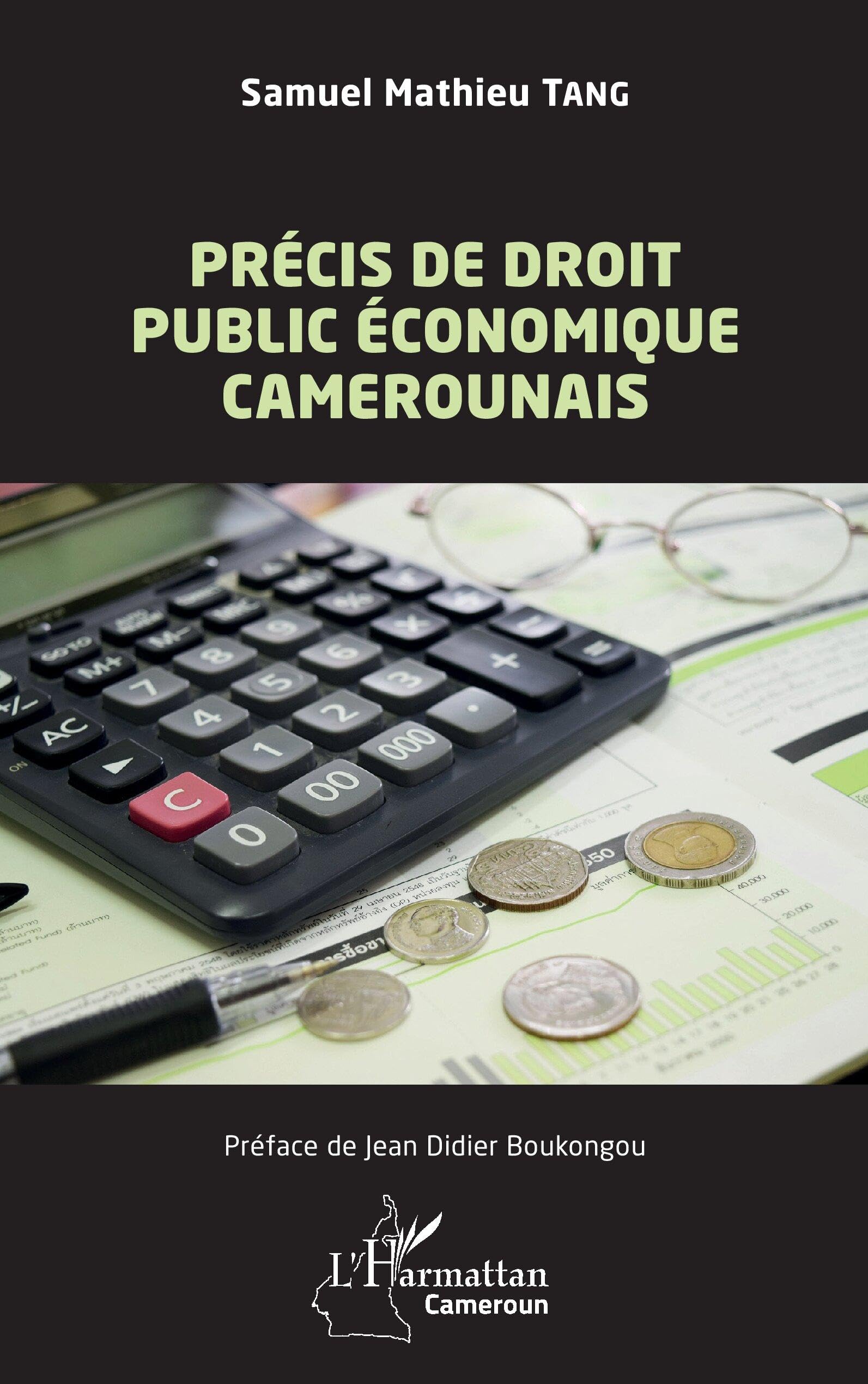 Précis de droit public économique camerounais (Harmattan Cameroun)