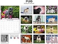 Vista 1504 de Razas de Perros 2017