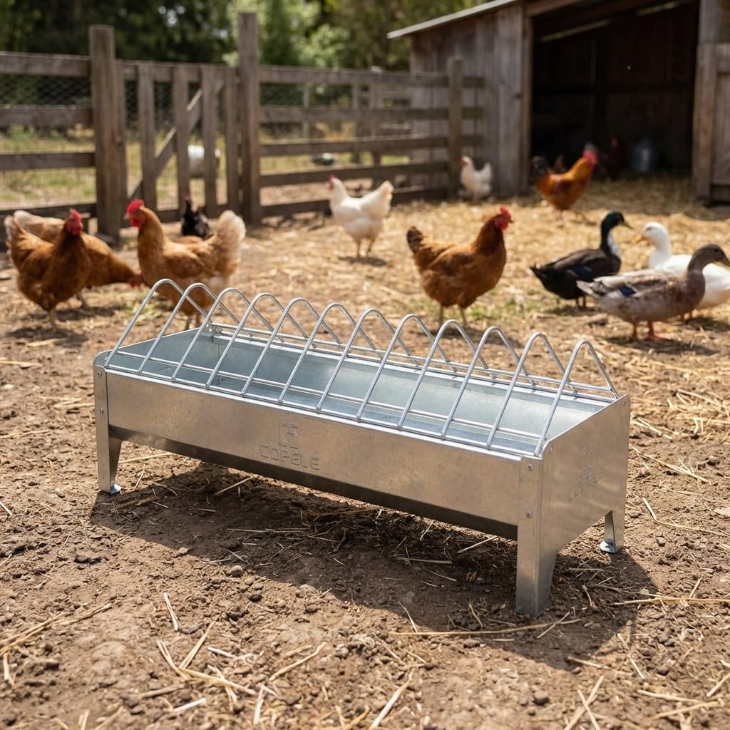 Suinga Comedero para Corral sin Patas | 56x20x25 cm| Uso Exterior | Fácil Limpieza | Ideal Aves de Corral | Alta Capacidad de alimento