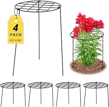 4 Pack Round Peony Cages and Supports, 20 x 30 Inches D x H