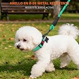 Ver la foto 6