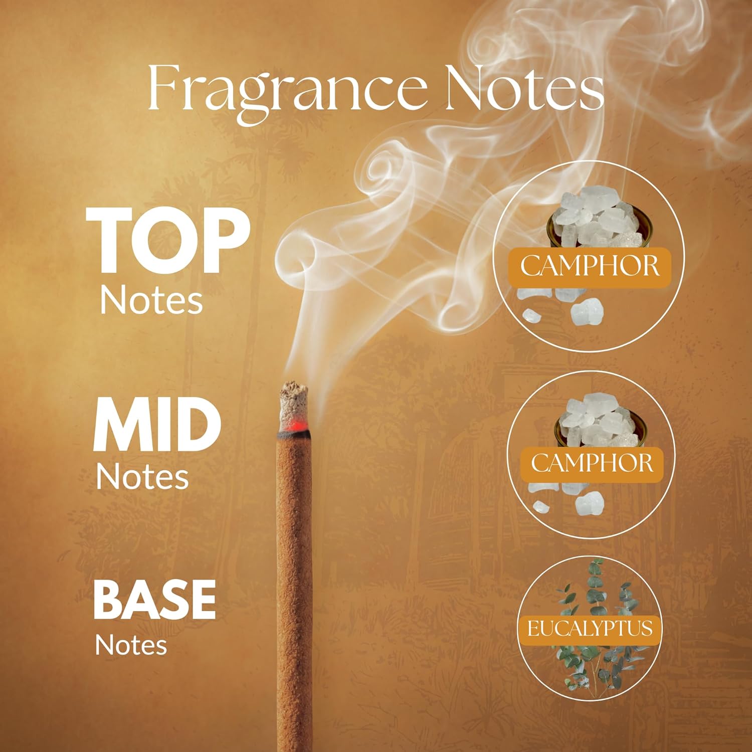 Bambooless Incense Sticks | Natural Agarbatti for Pooja, Meditation & Relaxation | Chemical-Free, Long-Lasting Fragrance | 40 Sticks Per Pack | Free Ceramic Incense Holder (Camphor)