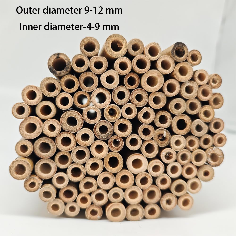 Material de relleno de tubos de hotel para insectos, 100 unidades, tubo de bambú natural de 15 cm de longitud, accesorios de casa de abeja, respetuoso con el medio ambiente en el jardín
