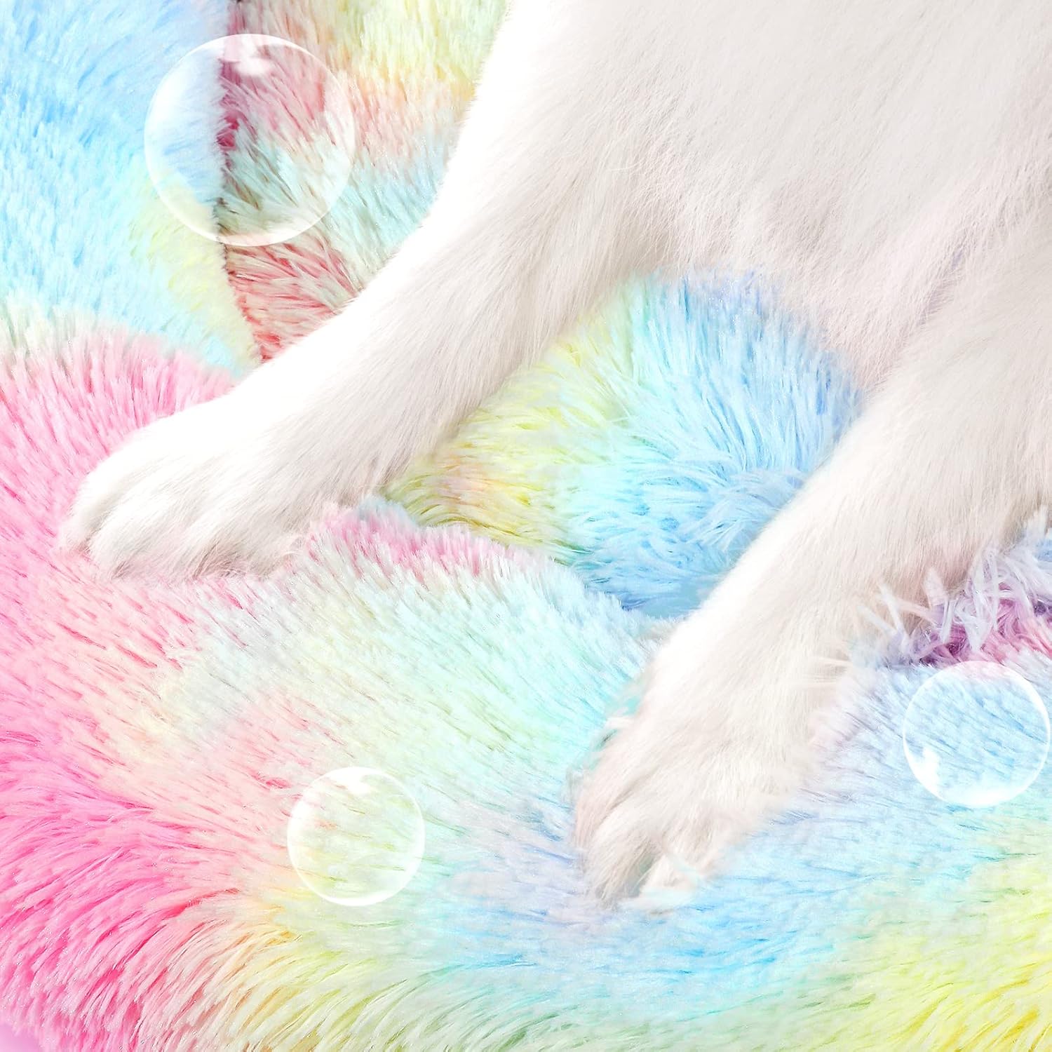 Transform Your Pet