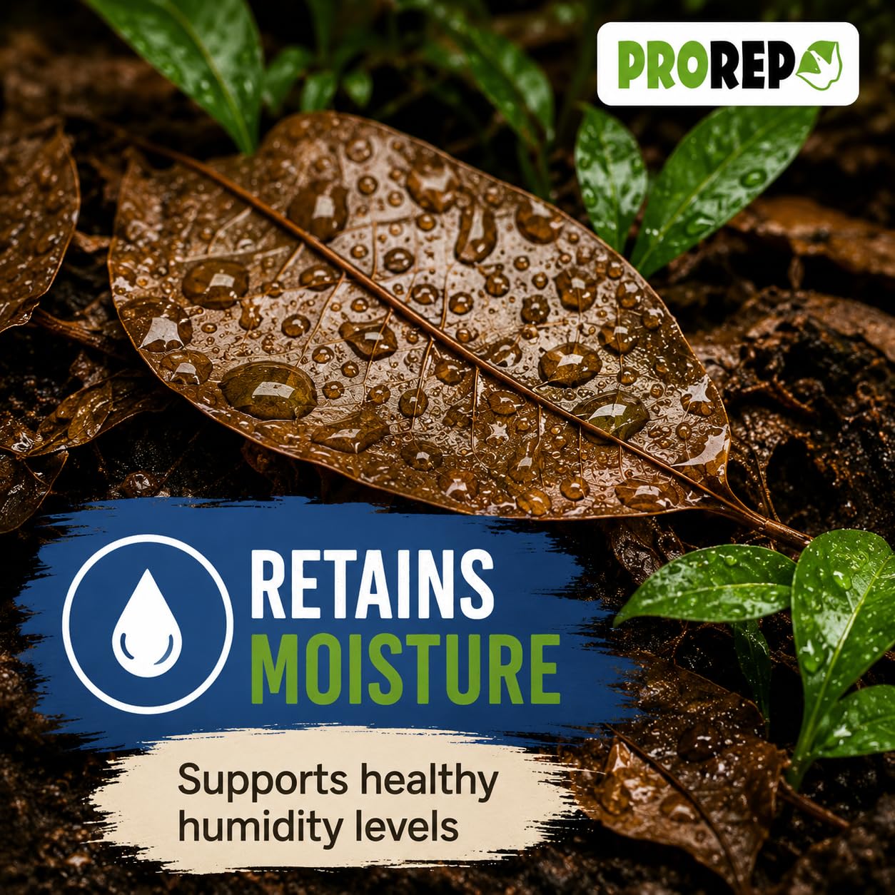 ProRep Substrat de litière pour feuilles Jungle 3 l | Substrat pour reptiles | Feuilles pour installation bioactive et isopodes