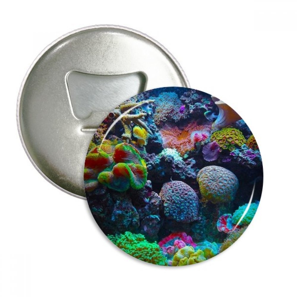 Aimants décapsuleurs corail de l'océan pour embellir votre cuisine et apéritifs