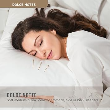 Sobel Westex: Dolce Notte | Standard Size Bed Pillow for Side Sleepers