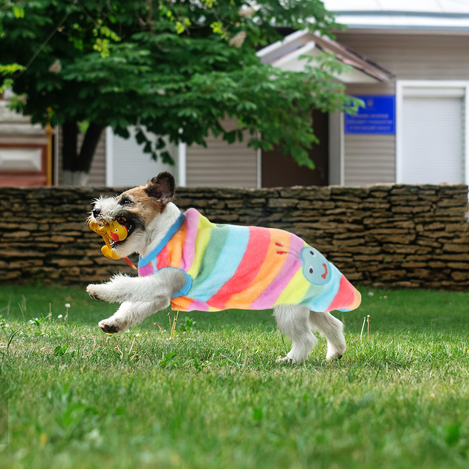 NUOBESTY 4stücke Hundeweste aus Flanell Warme Tierbekleidung für Kleine Hunde Bequemes Design für Alltag und Feiertage Haustierbedarf