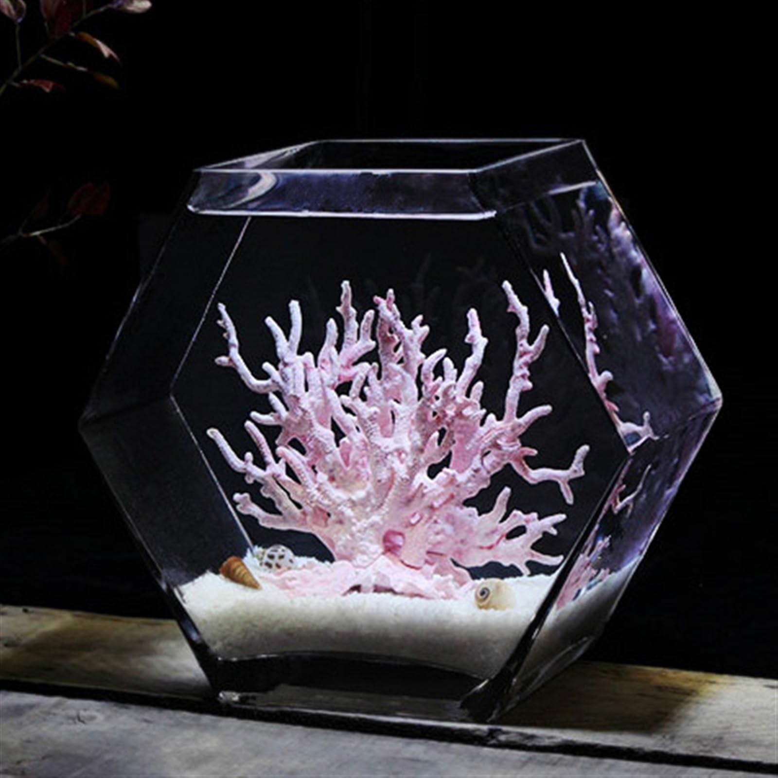 Aquarium Aquarium Hexagonal en Verre, Aquarium de Table Transparent, Poisson de Combat, réservoir de Grande Taille, ameublement écologique Bocal Poisson(Petit)