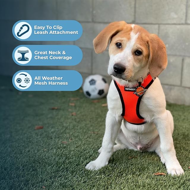 Foto 2 de 7 de Best Pet Supplies Voyager Step-in Air