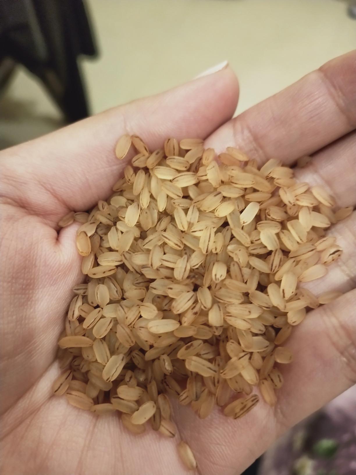 Swad Adatt Matta Rice, 20% Fiber Rich, 5 Kg : Amazon.in: Grocery ...