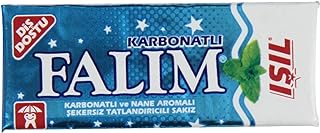 Sugarless Plain Gum with Carbonat and mint aromatic, 20 Pack, 100 Pieces Each