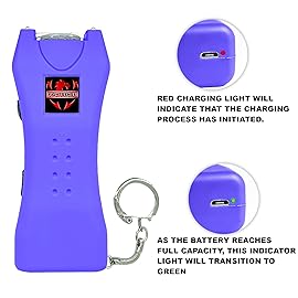 FIGHTSENSE Super Heavy Duty Keychain Stun Gun with Flashlight for Men and Women self Defense Device, Rechargeable Stun Gun, Nylon Holsters (Purple USB)