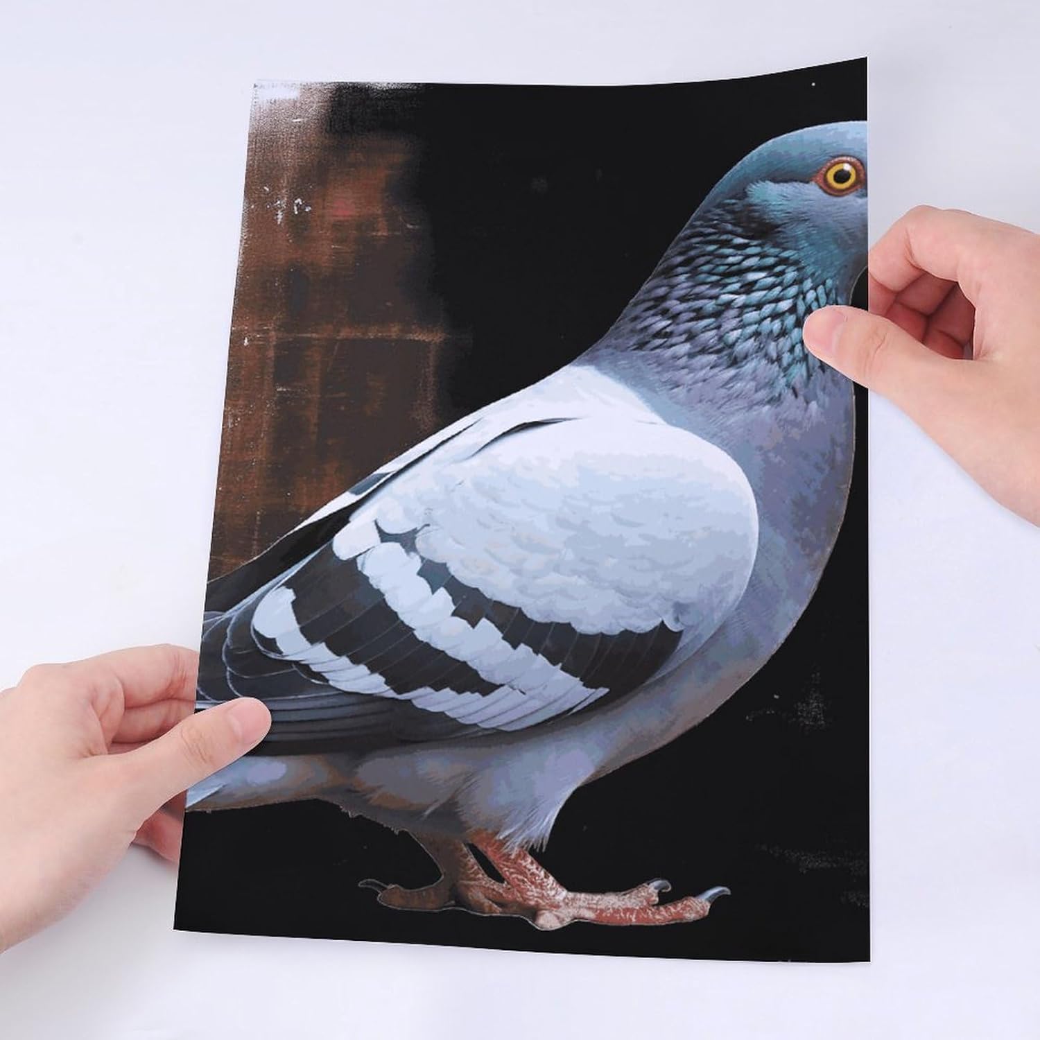 Cute Stickers Waterproof Funny Pigeon Stickers for Water Bottles Laptop Decor