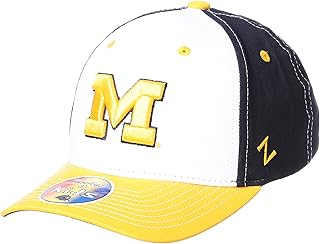 michigan wolverines baseball cap