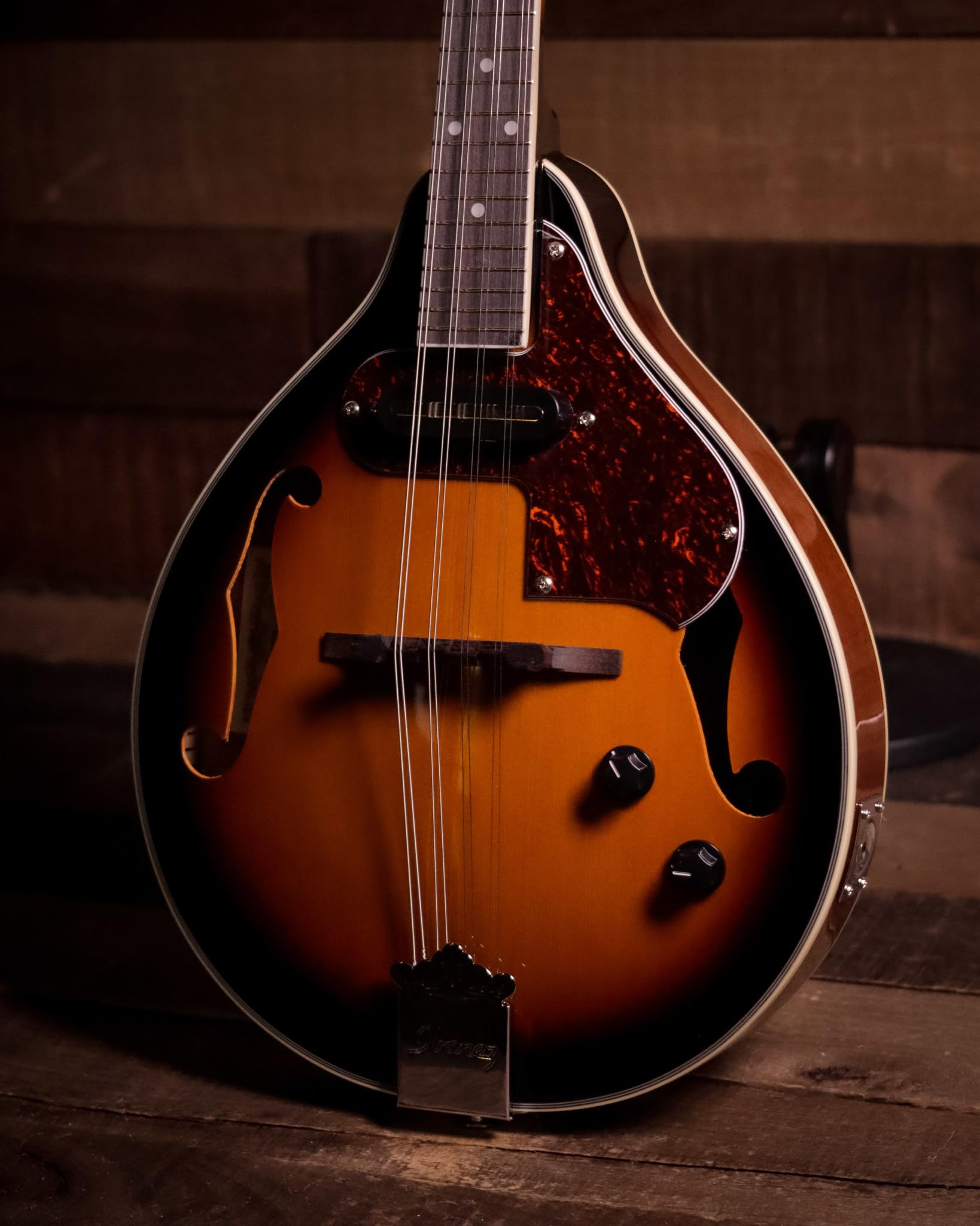 Amazon | Ibanez M510E A-STYLE アコースティックエレクトリック