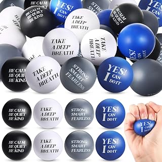 Zomiboo 20 Pieces Motivational Stress Balls Bulk for Adults Back to School Gifts Fidget Inspirational Funny Toys Squeeze Balls Employee Appreciation Gift for Adult Goodie Bag(Bright Color)